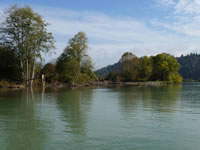 Restoring an Estuary